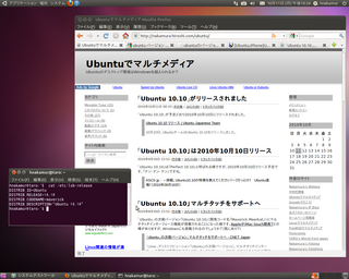 ubuntu1010.png