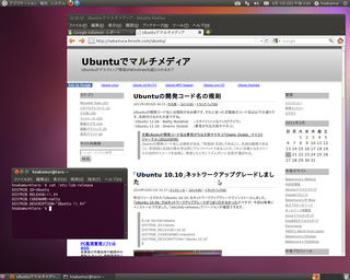 ubuntu1104.png
