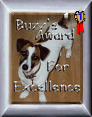 The Buzz Award selected
