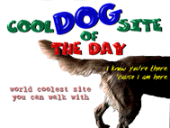 Cooldogsiteselected