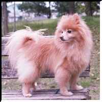 �^���[�̎ʐ^