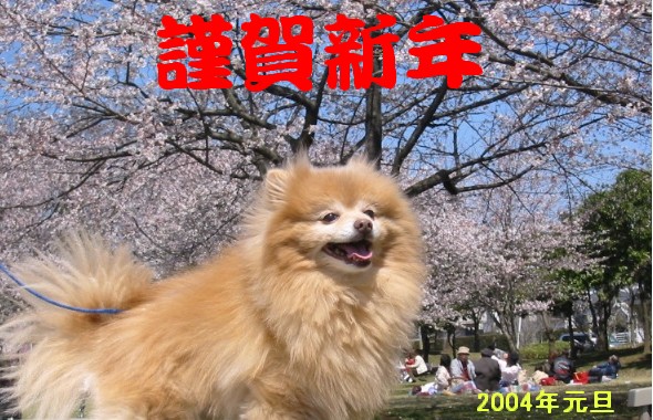 �Q�O�O�S�N��