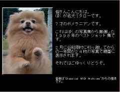 タロー挨拶画面